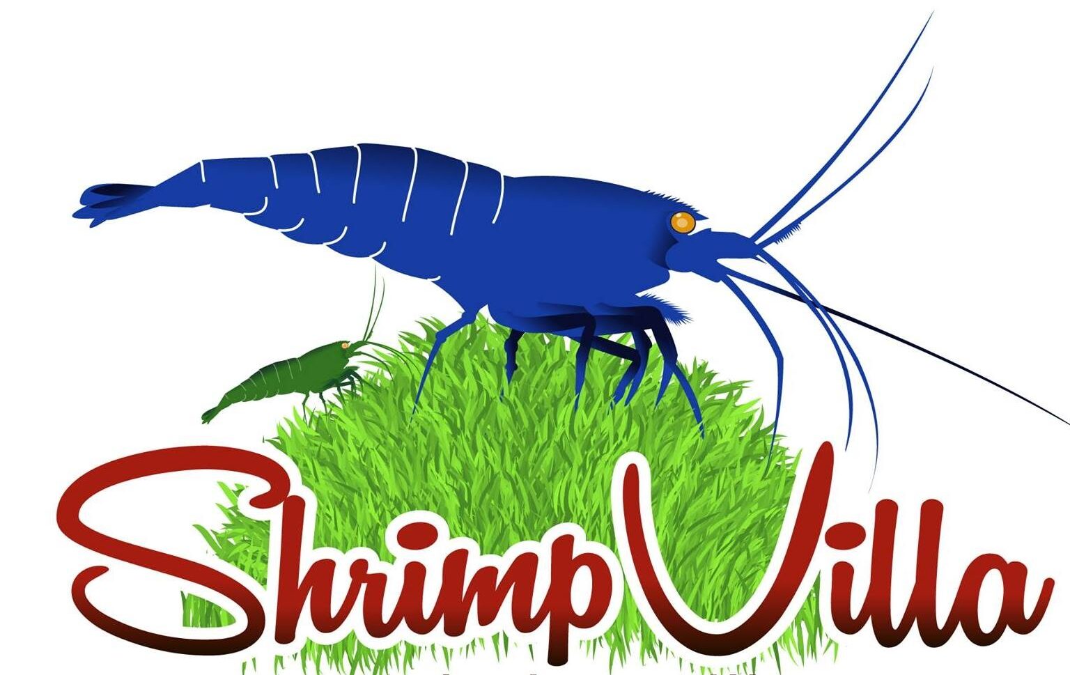 Shrimp Villa
